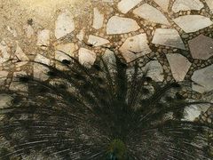 -苏州环秀晓筑养生度假村