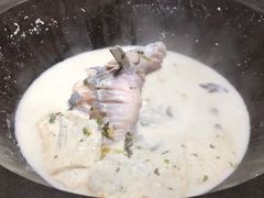 -鲜潭蒸汽石锅鱼(五道口购物中心店)