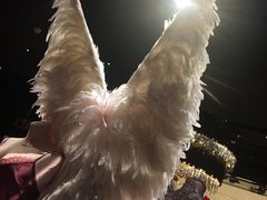 -Victoria's Secret(苏州中心全品类店)