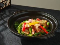 -鸽小宝(深圳首店)