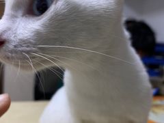 -宠颐生宠物医院外科·内科·皮肤科·影像科(石龙店)
