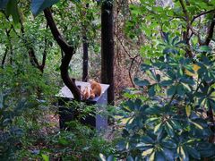 -广州市白云山风景名胜区