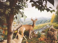 -陕西自然博物馆