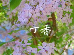 -国家植物园