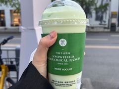 -茉酸奶(春熙路店)