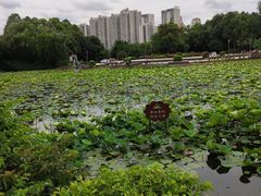 -三圣花乡旅游区