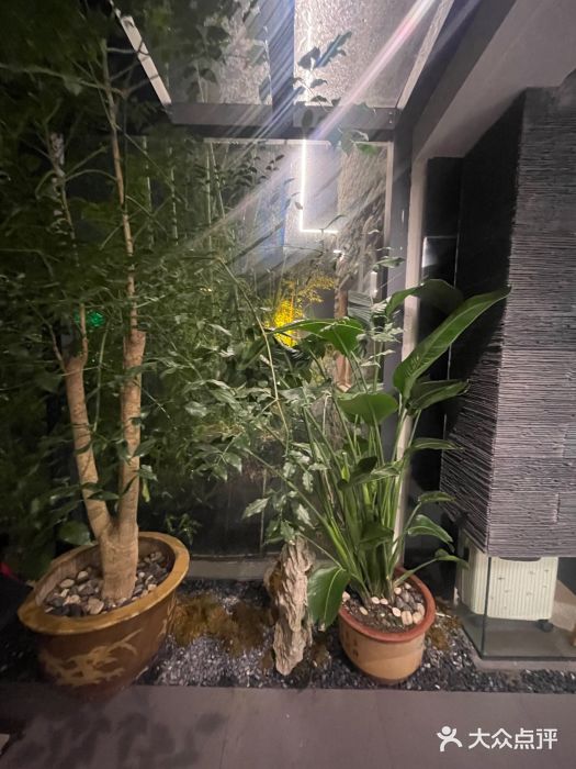山外山·林语花园餐厅图片