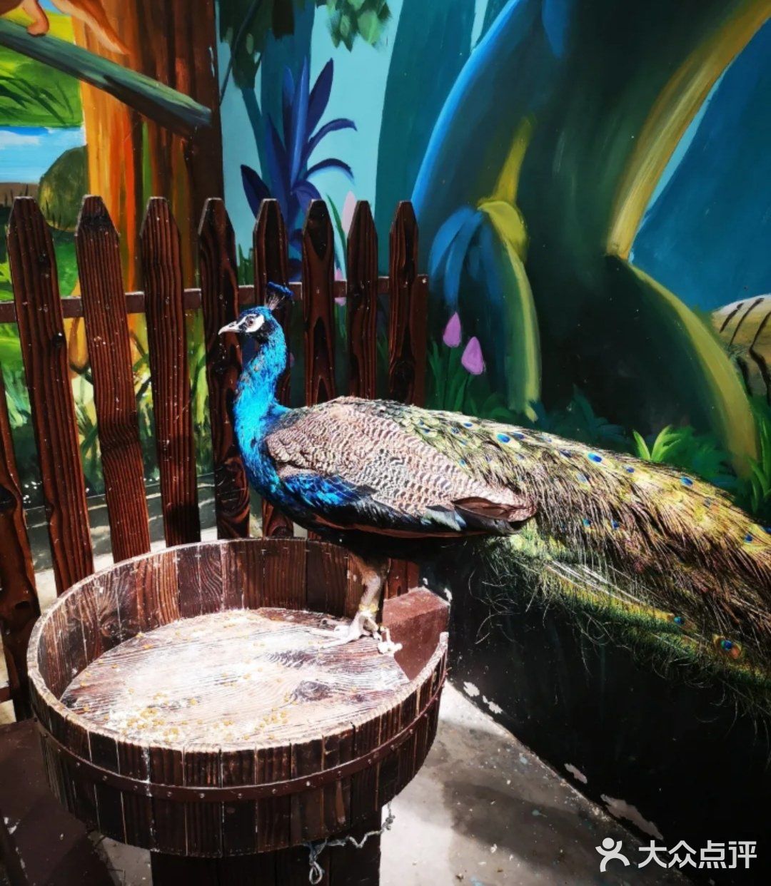 🐿撩宠乐园，心动的感觉～