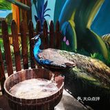 🐿撩宠乐园，心动的感觉～