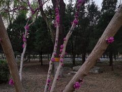-东升八家郊野公园
