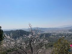 -红螺寺