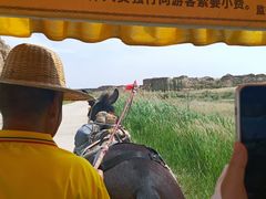 -水洞沟旅游区