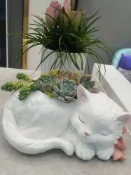 -欧扬医疗美容
