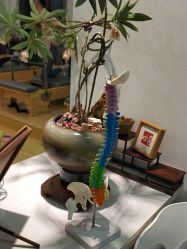 -Your Yoga Pilates·瑜伽普拉提习练室