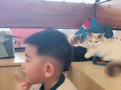 -喵匠猫主题咖啡(凯德和平广场店)