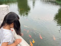 -有喜胶东小馆(超极合生汇太申祥和店)