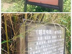 -天下银坑