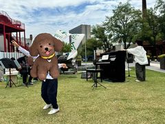 -小先生琴行(科园路店)