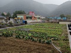 -宁波九龙湖开元度假村