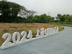 -春花秋色城市公园