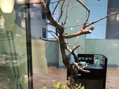 -呷哺呷哺(松江开元店)