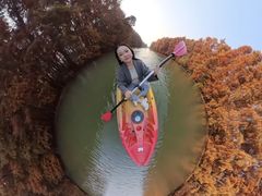 -上海海湾国家森林公园