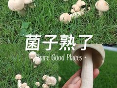 -黄埔荔枝公园