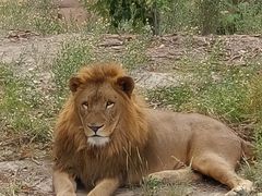 -新疆天山野生动物园
