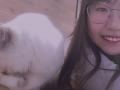 -瞄一喵猫咖(格力海岸店)