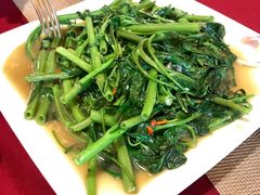 空心菜-Daddy Nimman Chiang Mai