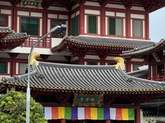 -新加坡佛牙寺龙华院