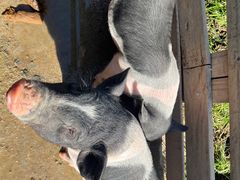 -祥源·阜阳生态乐园