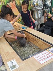-神奇动物撸宠馆·羊驼·小浣熊·异宠(豫园店)