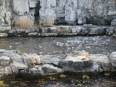 -太阳宫公园