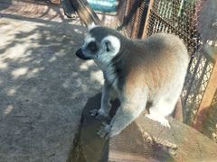 -昆明动物园