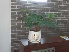 -雅享养生·中医调理·筋骨艾灸(广兰路店)