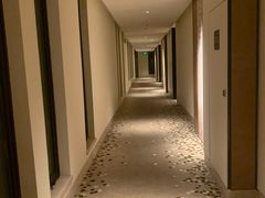 -上海崇明金茂凯悦酒店