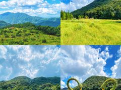 -广州市石门国家森林公园