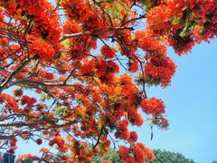 -大嶝英雄三岛战地观光园