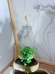 -溢美古法抗衰