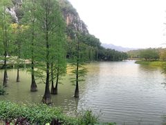 -星湖旅游景区七星岩