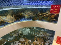 -欧记·龙城港(欣都店)