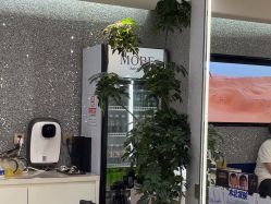 -木北造型