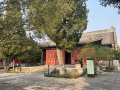 -大钟寺古钟博物馆