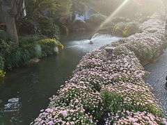 -杭州植物园