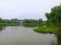 -尚贤河湿地