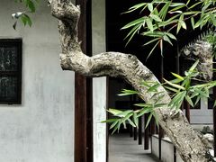 -原怡园面馆(拙政园店)