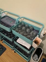 -盖氏丹辰·良咔瘦身·减脂塑形