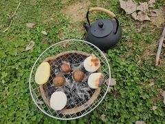 -两河城市森林公园