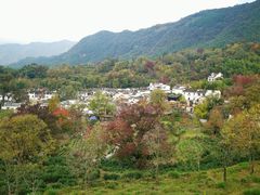-塔川景区
